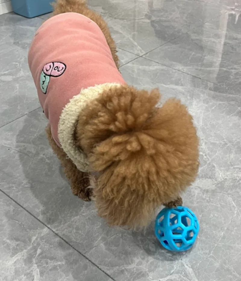 Dog Bell Toy, Bite‑Resistant Hollow Chew Ball for Puppies Small Dogs, Teeth Grinding Energy Consumption Boredom Relief Pet Toy