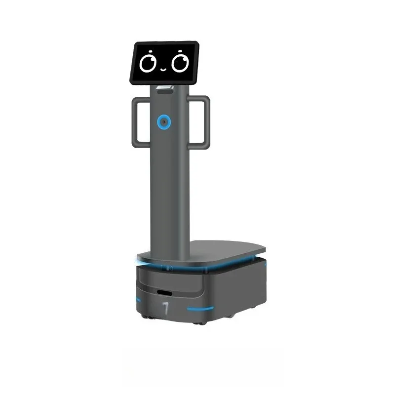 

Handling robot follows autonomously