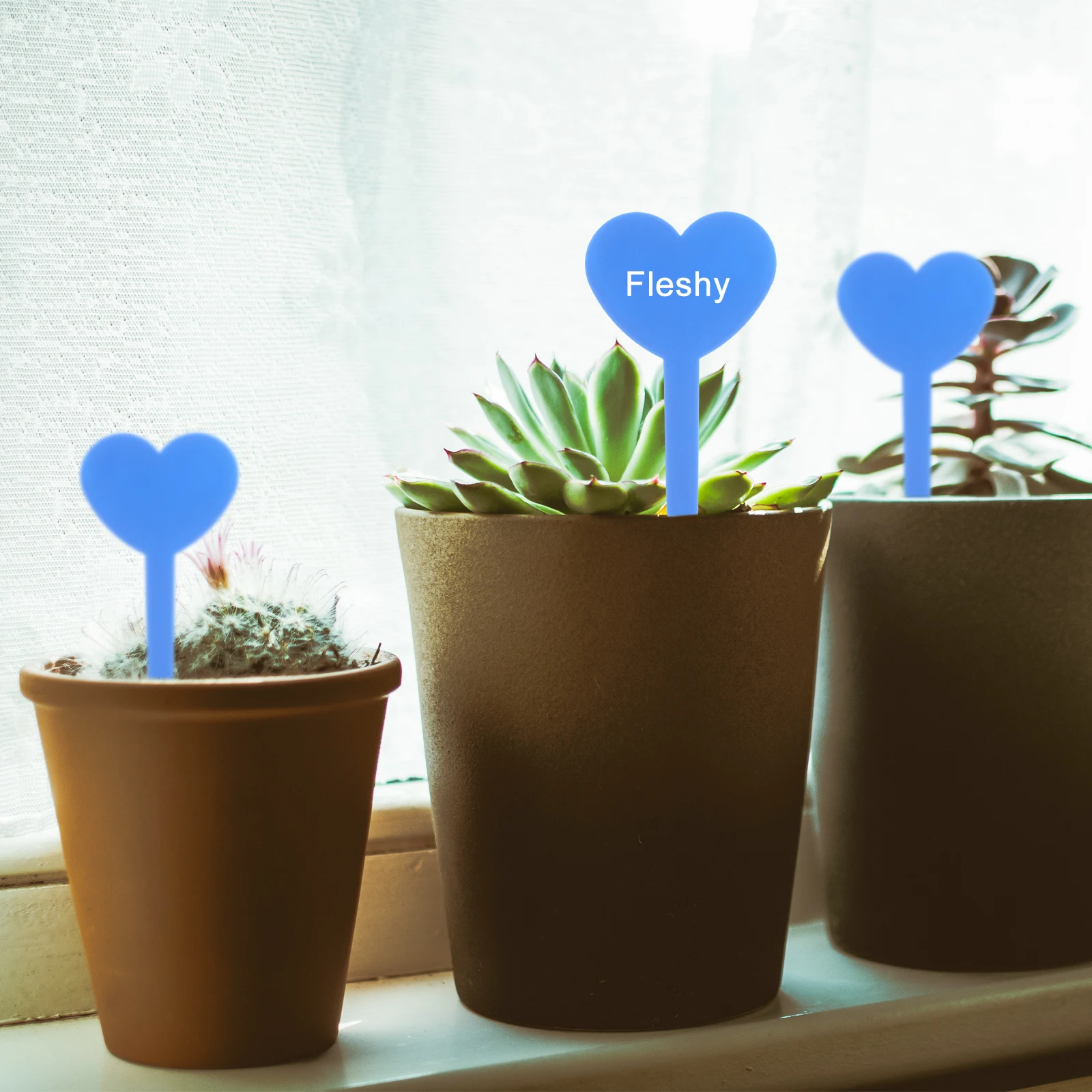 

100 Pcs Gardening Labels Decoration Supplies Mini Plant Plants Sign Markers Tags Row Heart Shape