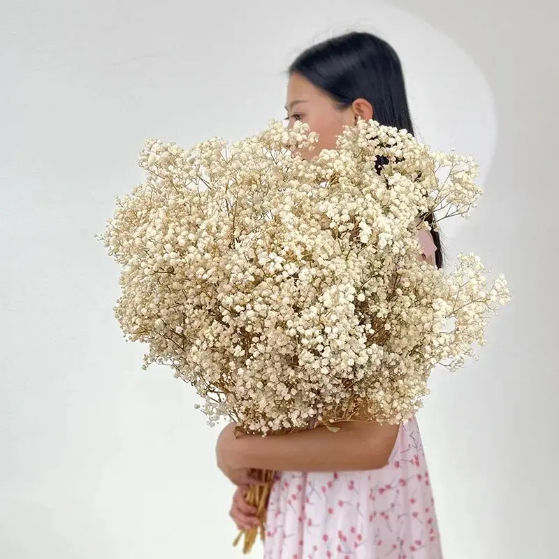 80g Mix Gypsophila Baby Breath Dried Flower Bouquet Boho Wedding Photo Prop Decoration Preserved Gypsophile Home Room Vase Decor - Image 8