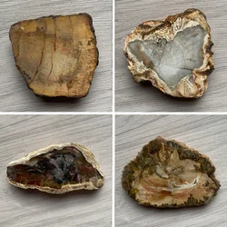 Natural Crystal Petrified Wood Slice Coasters Polished Rock Slab Decoration Stone Dish Healing Reiki Feng Shui Madagascar