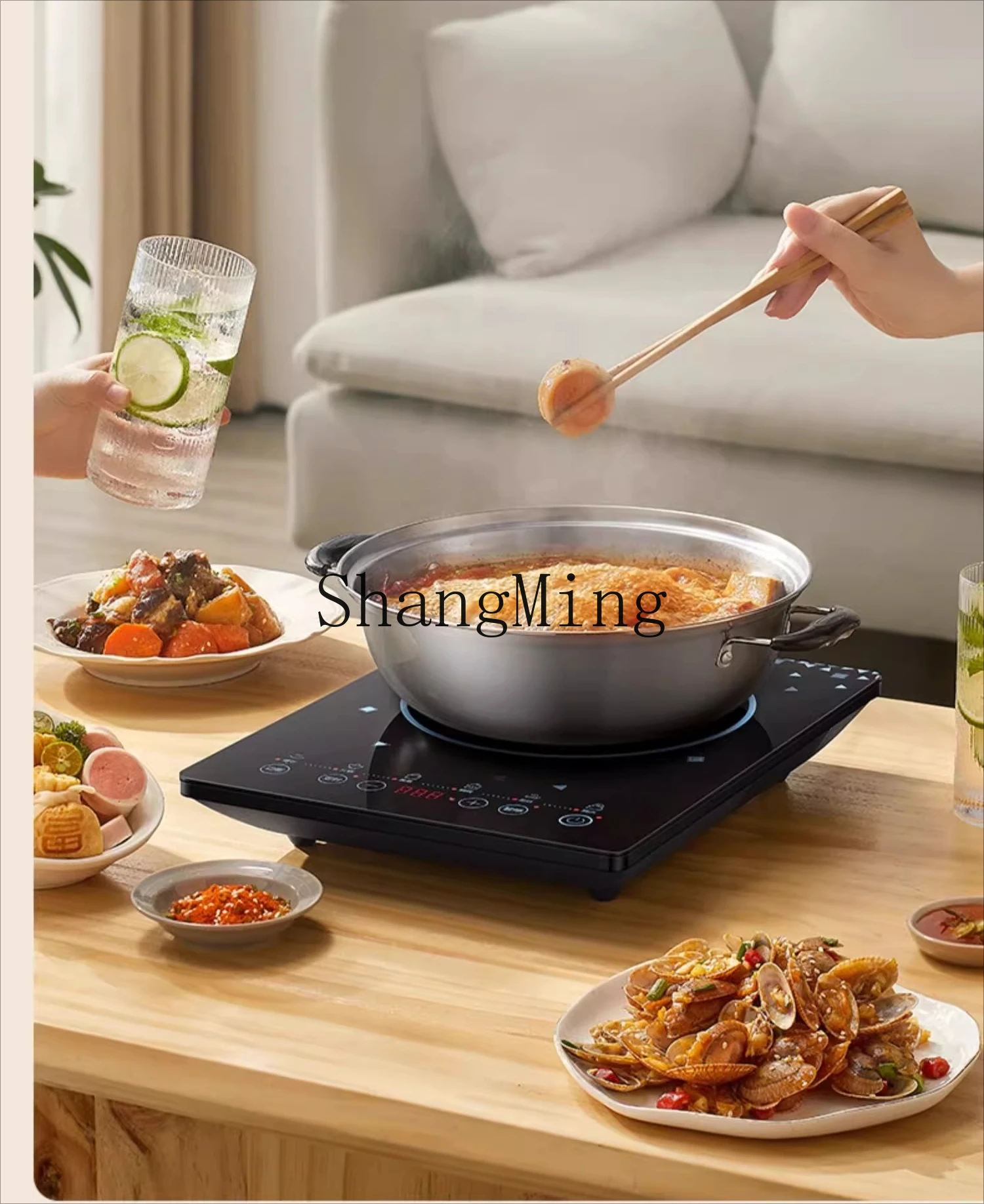 ZYY pentola calda ad alta potenza per uso domestico cucina speciale stufa a batteria a risparmio energetico stufa elettromagnetica piccola