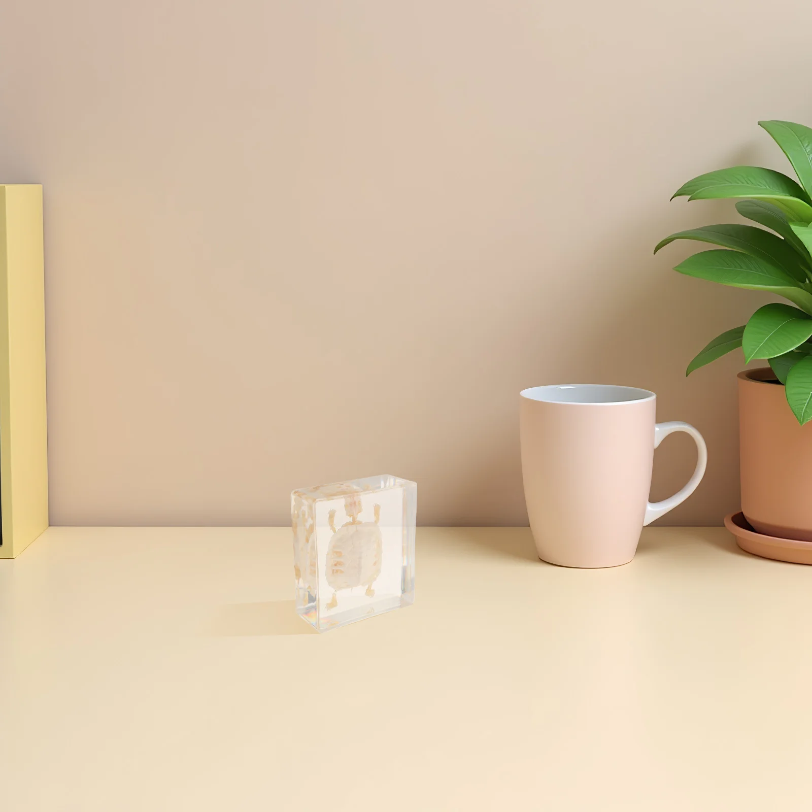 Reali ricordi scheletrici della tartaruga brasiliana per la esposizione del museo di ricerca del laboratorio scolastico Sussidio didattico biologico Storia naturale