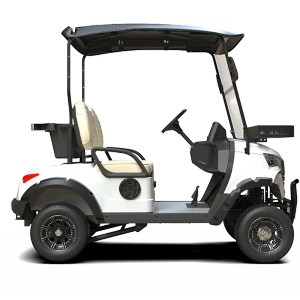 2 Seater 4WD Electric Golf Cart with 5KW AC Motor 48V Lithium Battery 70-90km Range Utility Vehicle