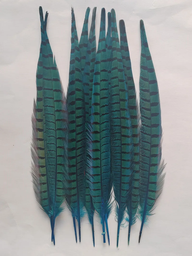 Plumas de colores!10Pcs/Lot!14-16\