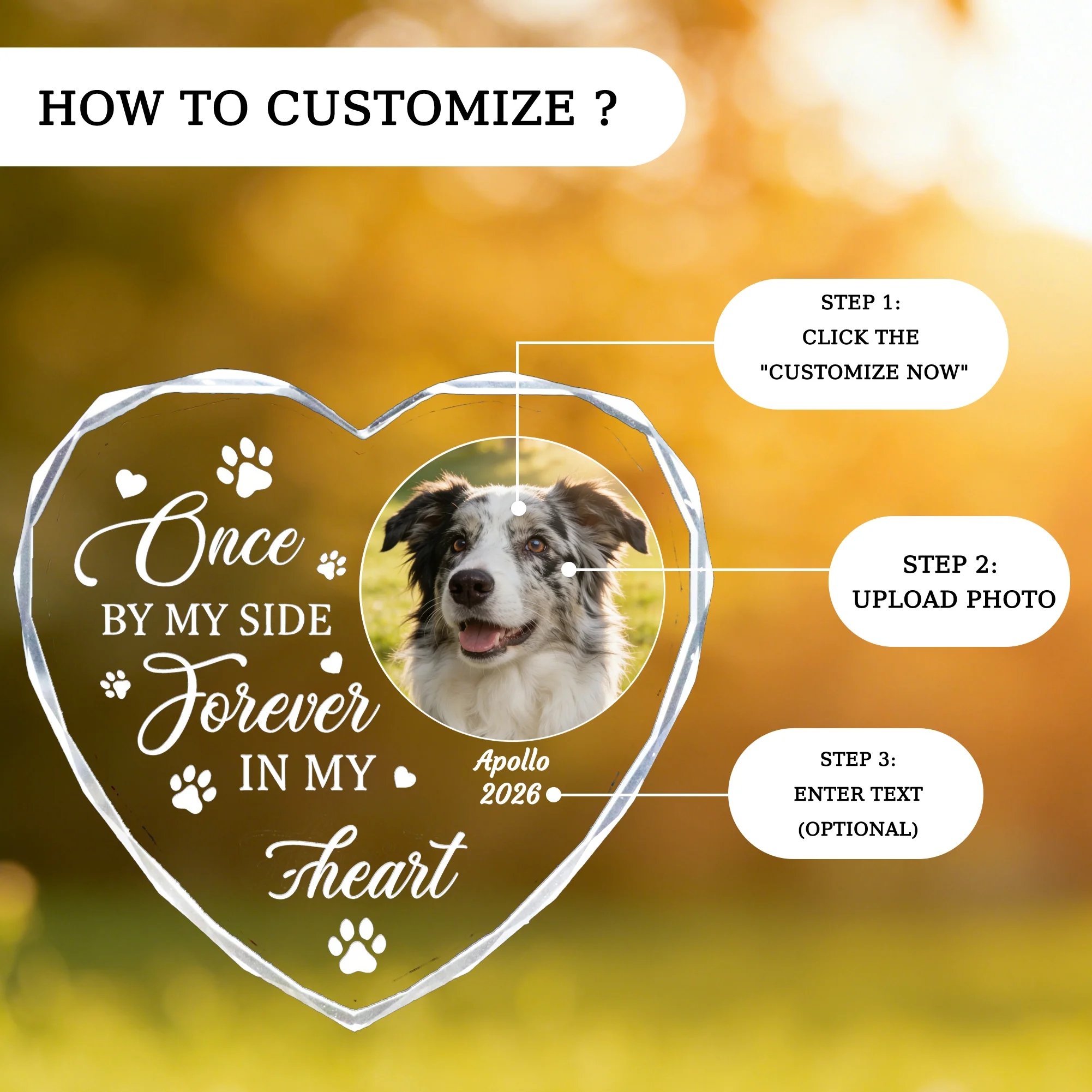 Personalized Pet Memorial Suncatcher Custom Photo Heart Acrylic Rainbow Crystal Window Ornament Pet