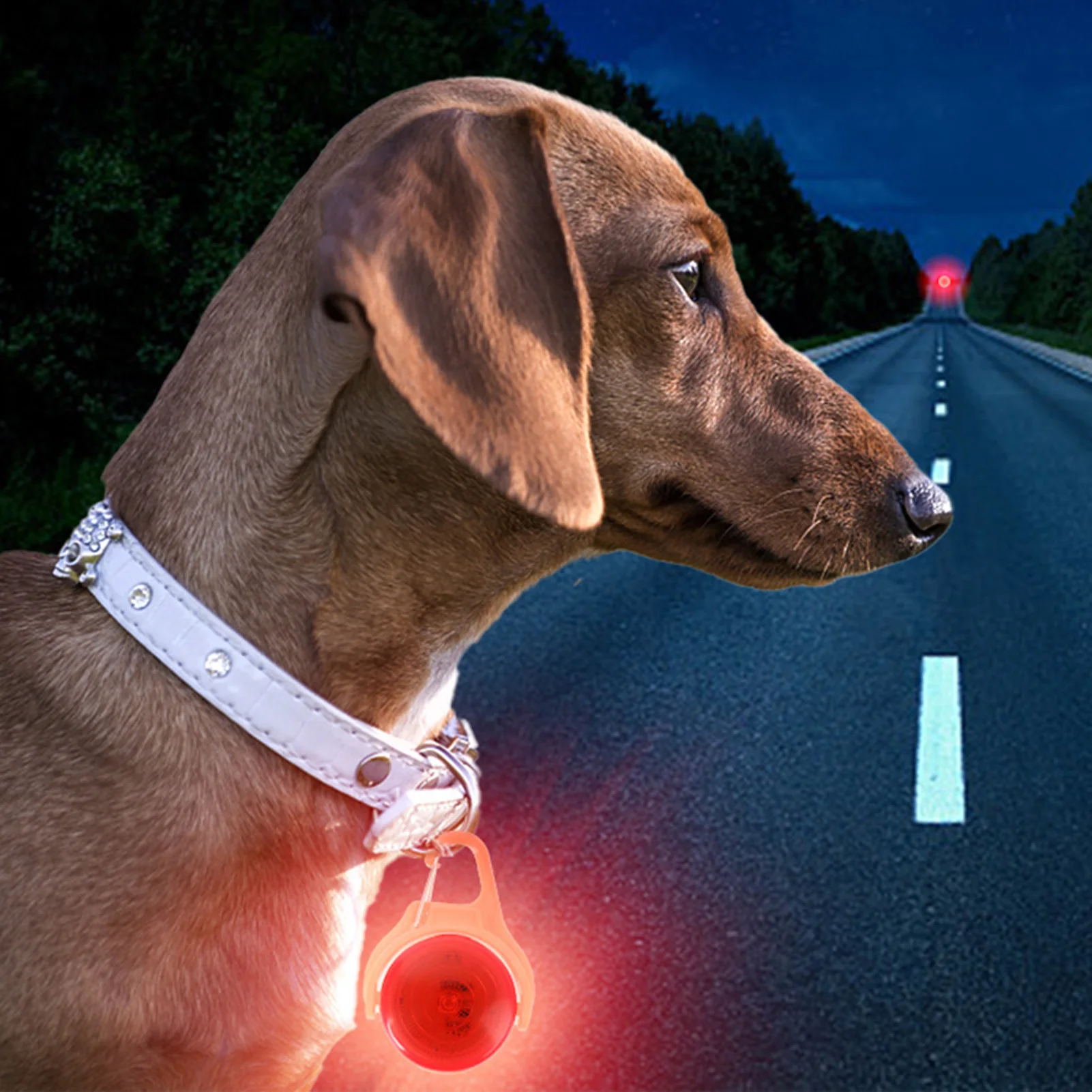 Led Dogs Collars Pe…