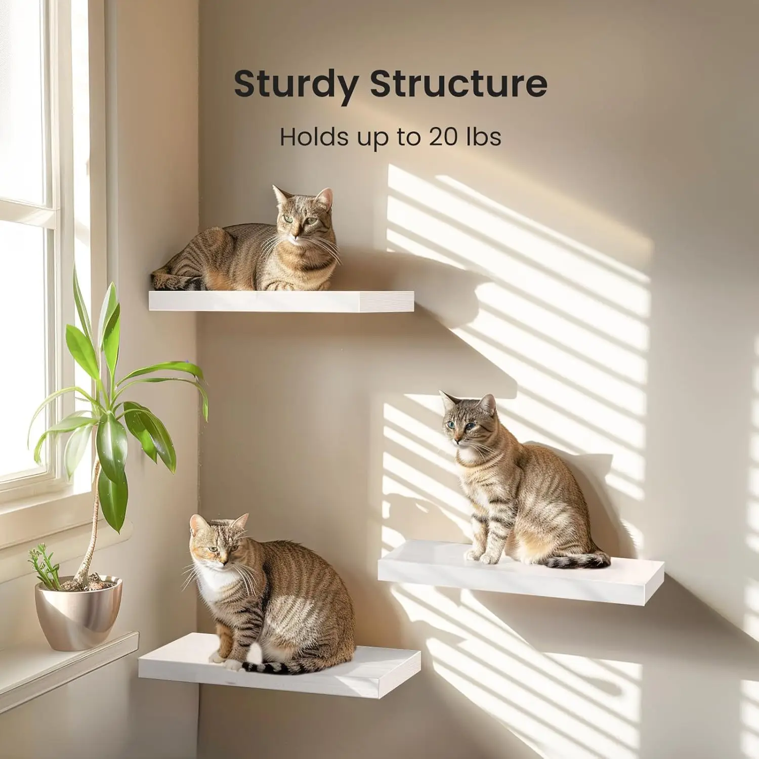 Thumbnail 4 - #26 Highest Rated Bathroom Shelves to Buy in 2026