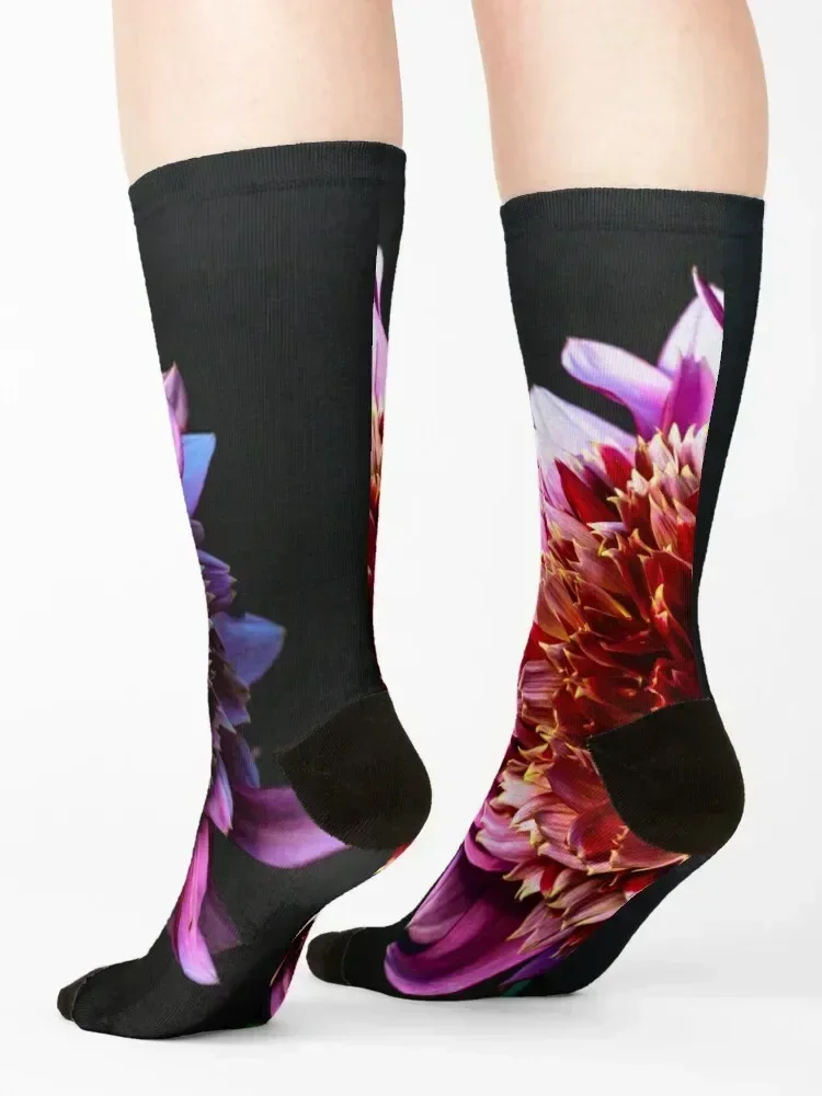 Mambo Dahlia Still LIfe Socks funny sock Climbing Antiskid soccer Christmas Men's Socks Women's