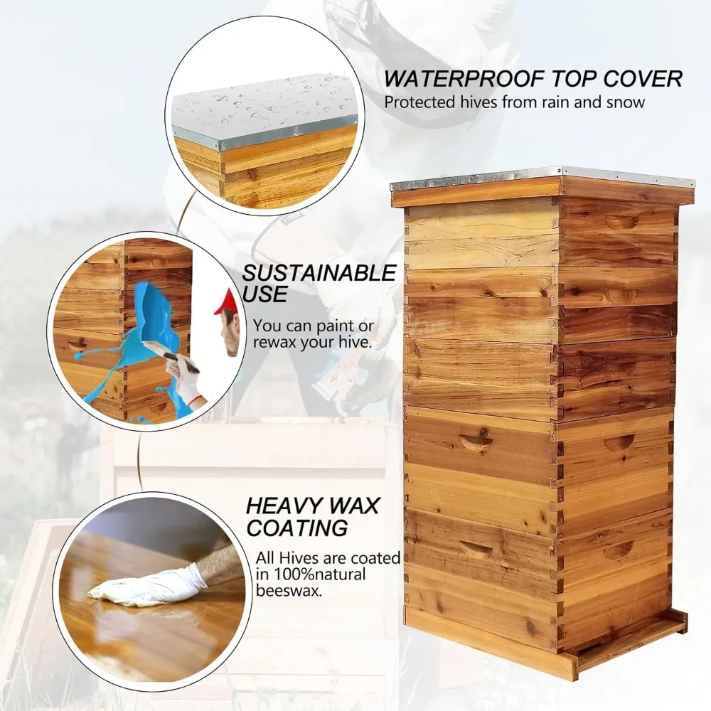 5-Layer Bee Hive, Langstroth Beehive Kit with 100% Beeswax Coating Includes 2 Deep Boxes & 3 Medium Layers for Optimal Honey
