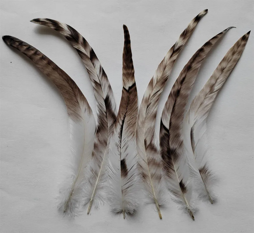 100 Pieces Natural Grey Chinchilla Rooster Tail Coque Feathers 4-12 Inches 10-30 Cm Long Hair Extension Feathers