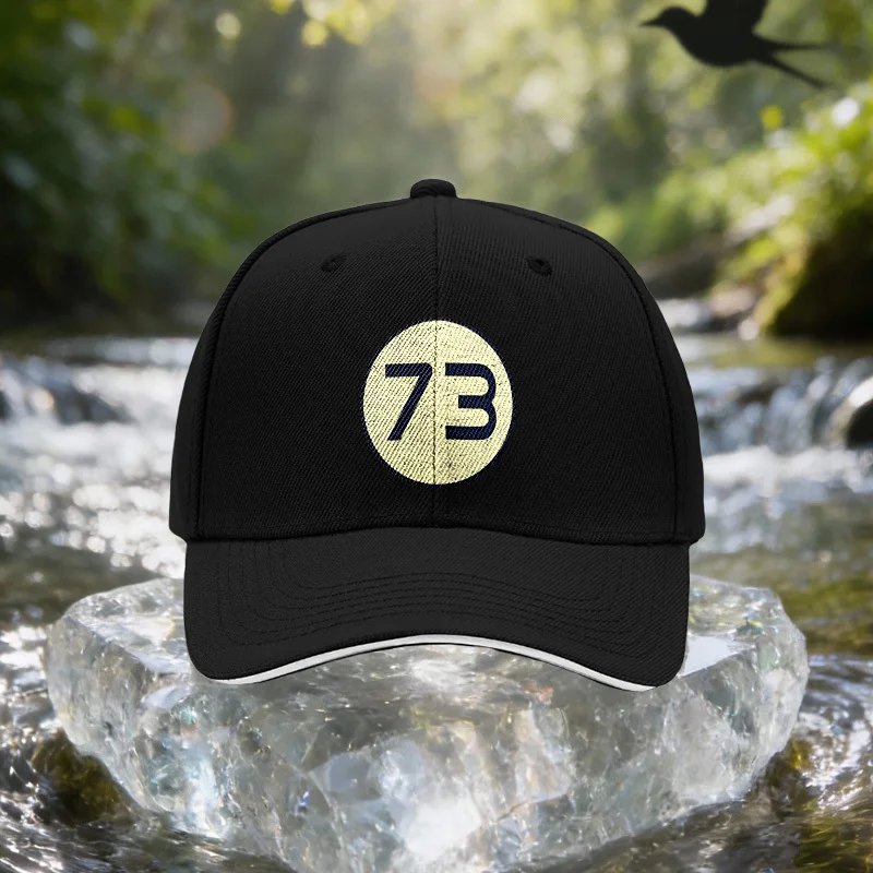 Number 73 Frosted Texture Sandwich Cap, Unisex Easy Lightweight Adjustable Outdoor Sun Hat, Ideal Gift for Travel, Parties, Birt