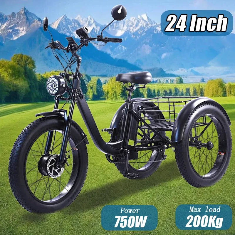 24-Inch fat tire 750W pedal power electric tricycle rough tire snow lithium battery tricycle