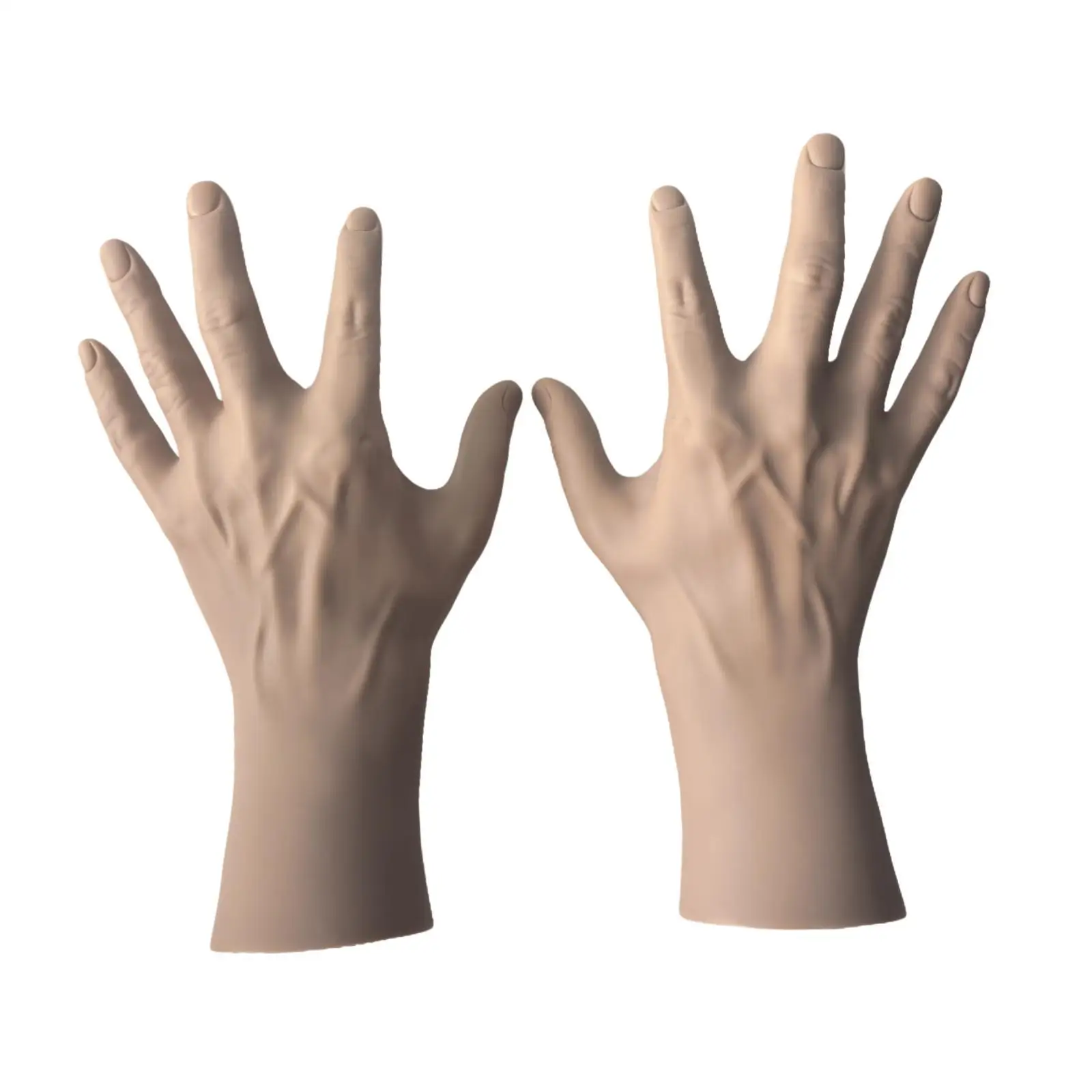 

2x Hand Model Jewelry Display Male Hand Mannequin Lifelike Rings Holder for
