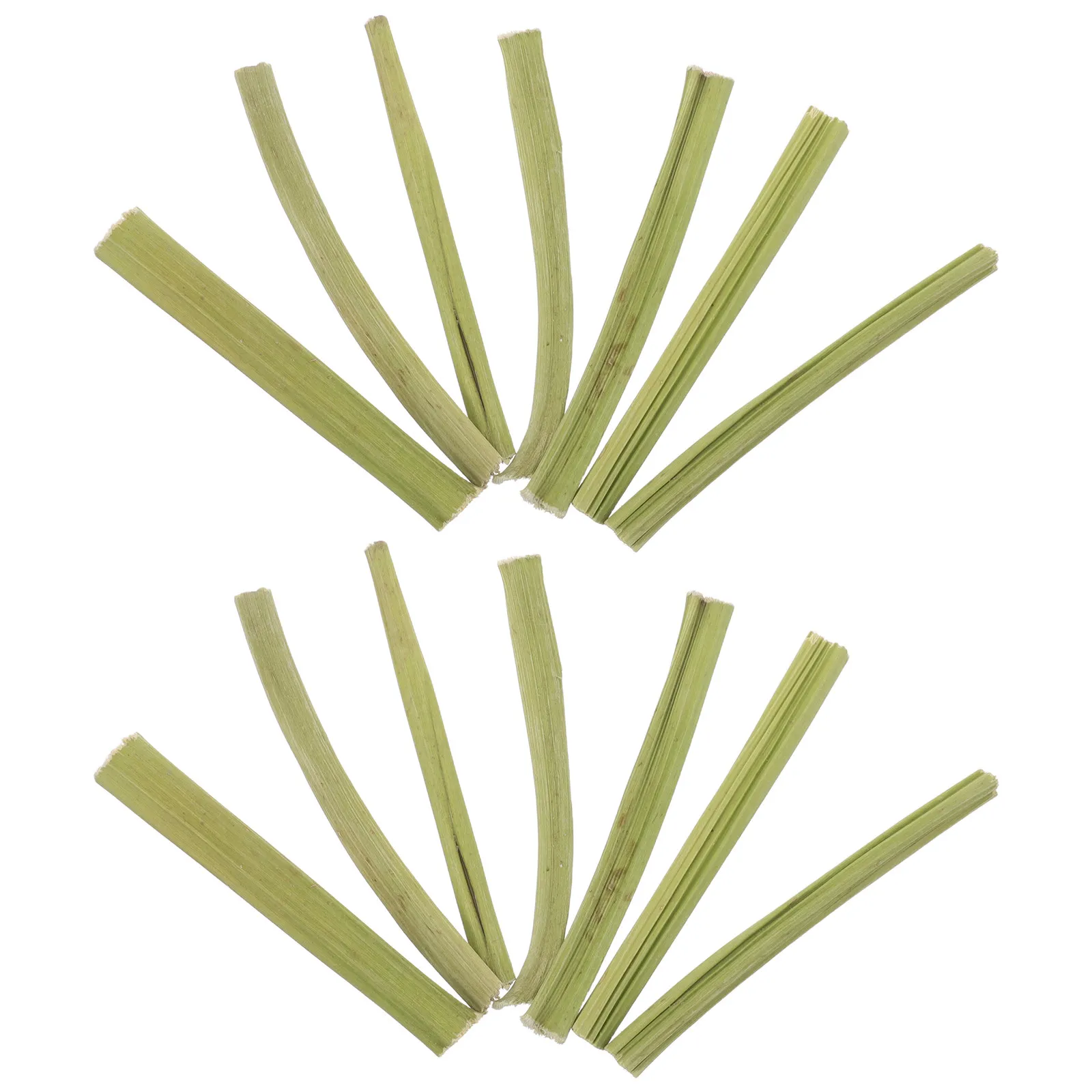 1 Juego de Palitos de Papaya Seca para Masticar, 100G, Golosinas Dentales Naturales para Mascotas Pequeñas, Conejos, Hámsteres, Chinchillas, Cobayas