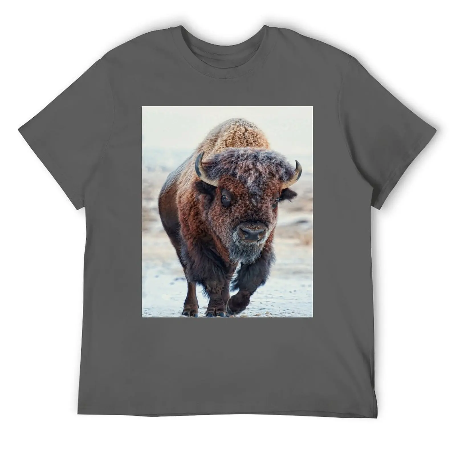 A snow-covered American Bison Roams Yellowstone National Park T-Shirt basketball graphic tees summer clothes men tshirt