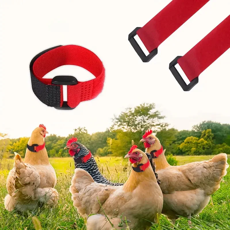 4/8pcs Crow Rooster Neck Belt Poultry Identification Tags Nylon Rooster Neck Collar Supplies Farm Animals Product Accessories