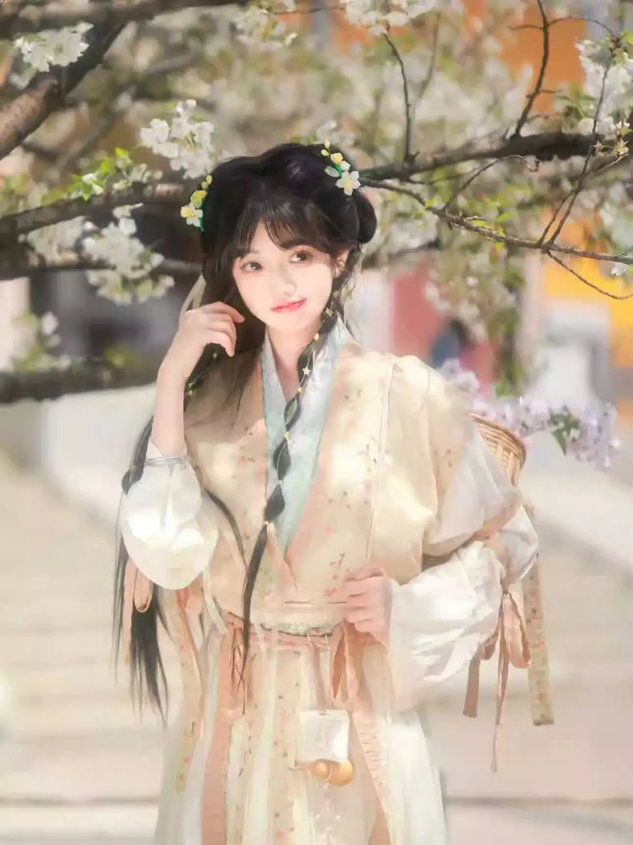 

Women In Hanfu Xian Jian Improved Song Dynasty Heavy Embroidery Double-Sided Inner Dress Pleated Skirt Cosplay Costume Halloween