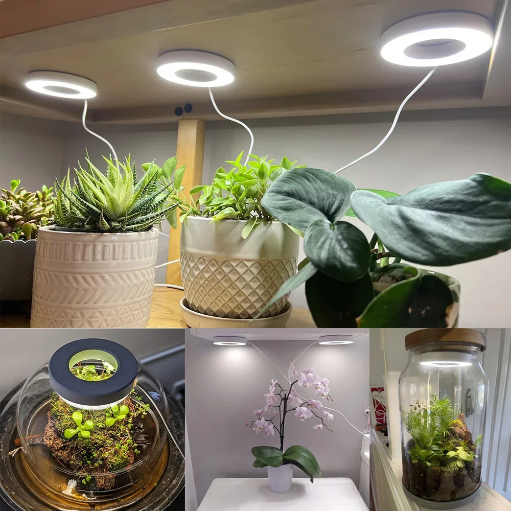 Full Spectrum LED Grow Light 10 Levels Dimmable Auto On/Off Timer Ceiling Under Cabinet Halo Plant Growing Lamp for Indoor Plant