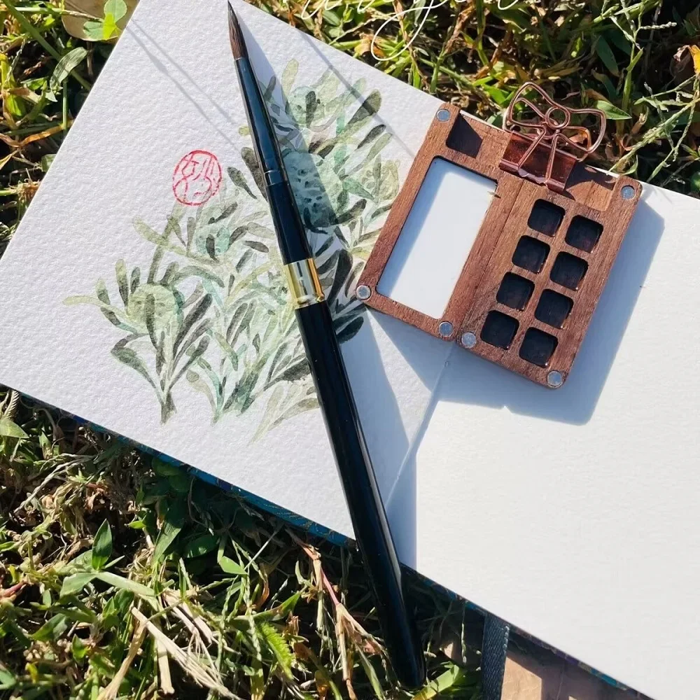 صندوق فارغ لوحة ألوان مائية صغيرة من خشب الجوز الأسود طلاء خشبي محمول صندوق فارغ خشبي 8 شبكات #1