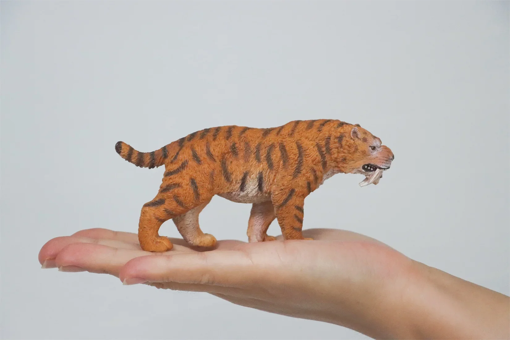 TNG Saber-Toothed Tiger T4007 Model Realistic Prehistoric Animal Collection Scene Desk Decoration Birthday Gift Educational Toy