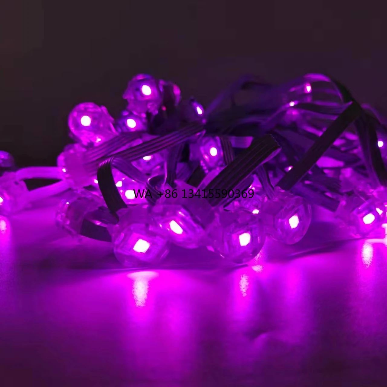

Outdoor RGB LED Christmas Lights for House Eaves Decoration Point Lights for Landscape Application PC Supplied Home Supplier