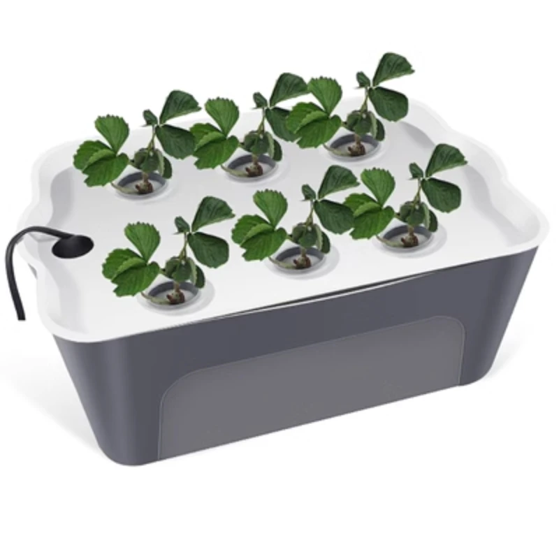 

Soilless cultivation vegetable equipment Home balcony Hydroponic vegetable planter Indoor automatic hydroponic planting box