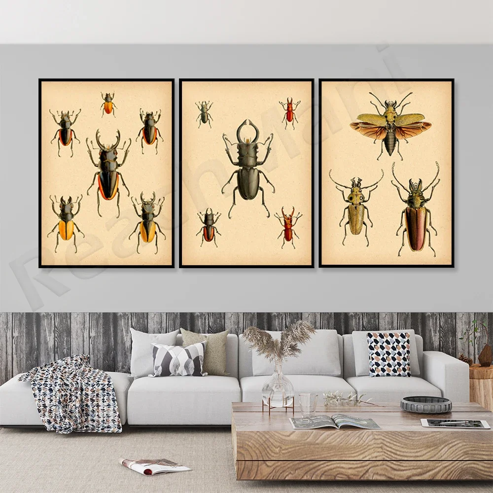 Stag beetle poster, antique insect art, insect illustration, retro biology entomologist gift