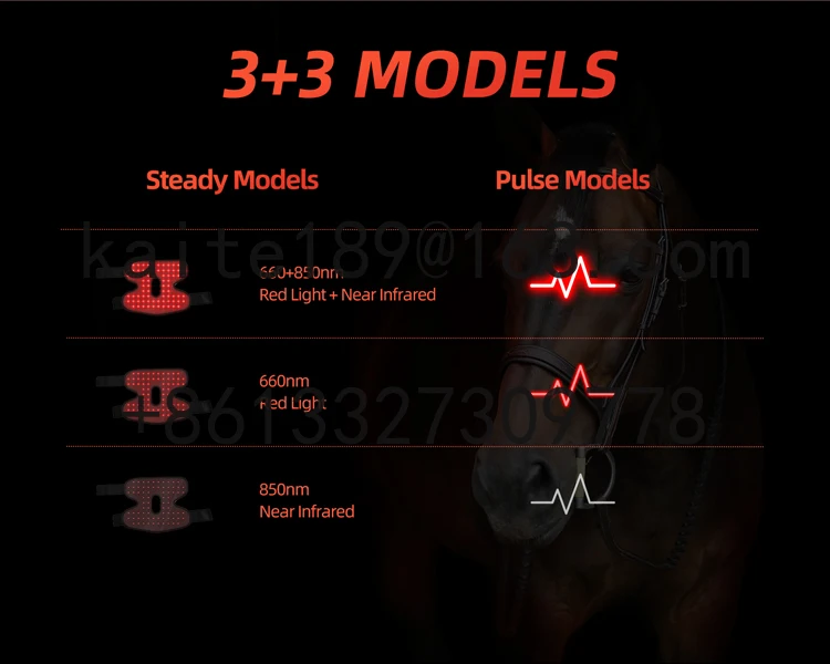 RedThera Equine Hock Knee Wrap Red Light Therapy Horse Knee Therapy Products