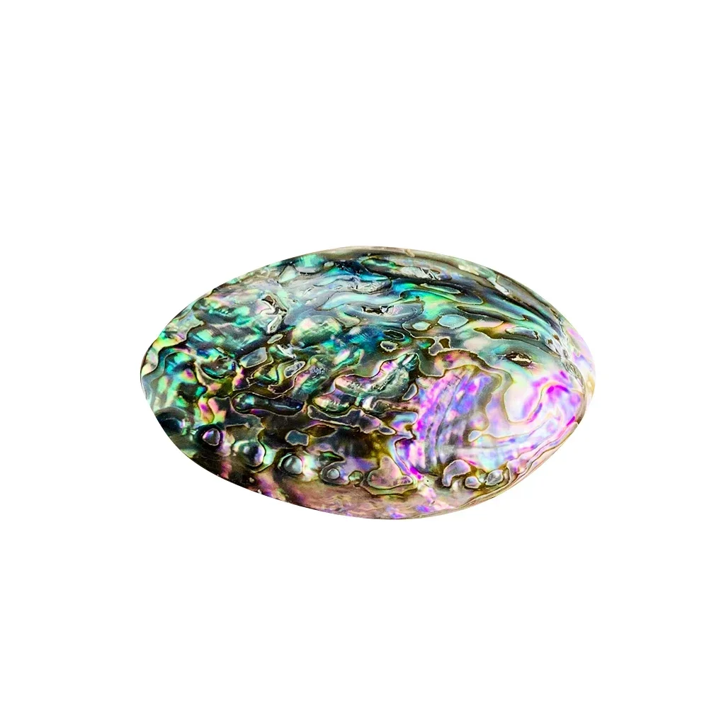 Natural Abalone Shell Polished Seashell Rainbow Iridescent Craft Jewelry Making Altar Decor Smudging Bowl Healing Shell view 5