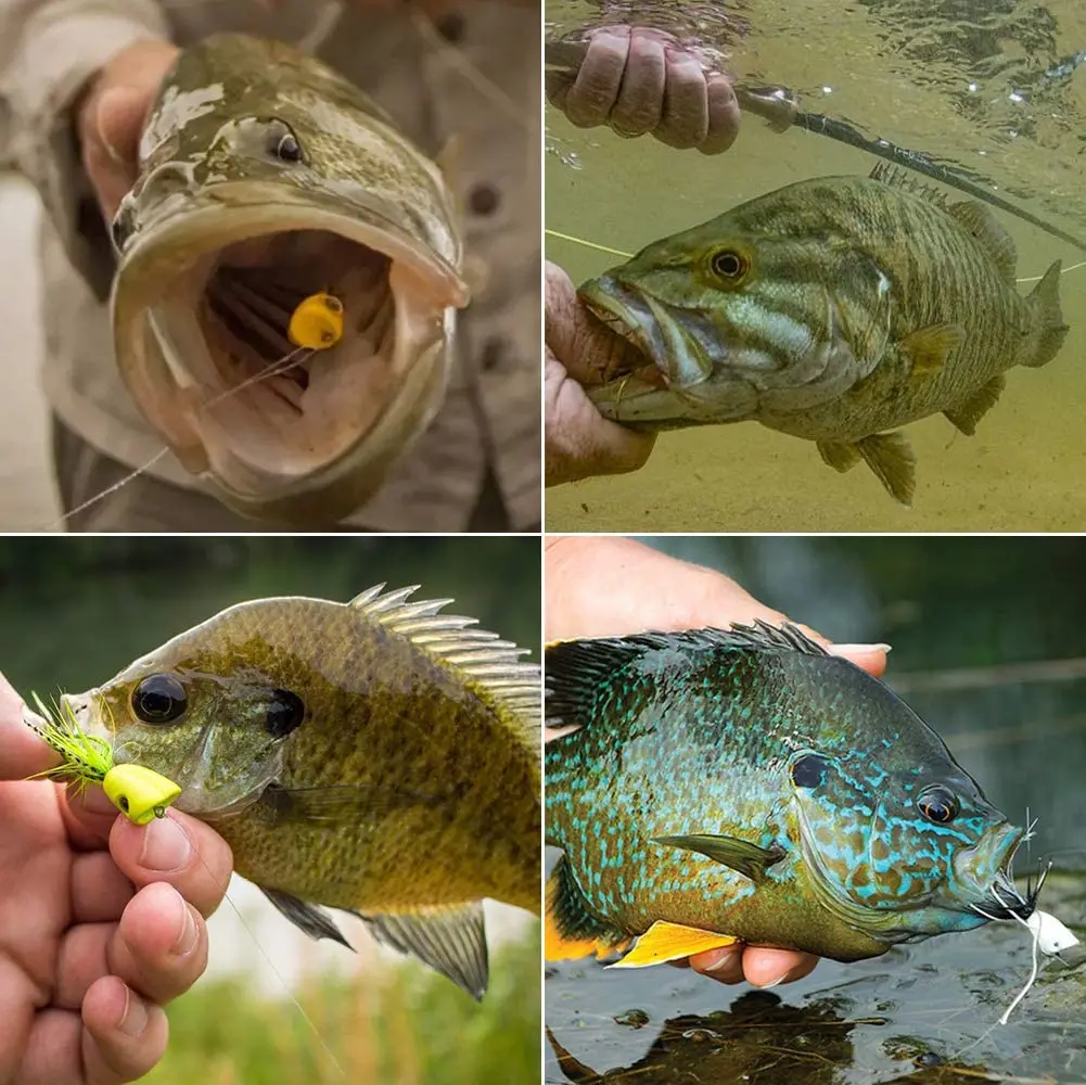 Popper de pesca con mosca Topwater – Señuelo para lubina y trucha - imagen 3