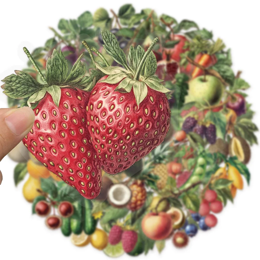 yZ[z50 gt[cXebJ[ DIY XP[g{[hוm[gubNJbvybghXebJ[