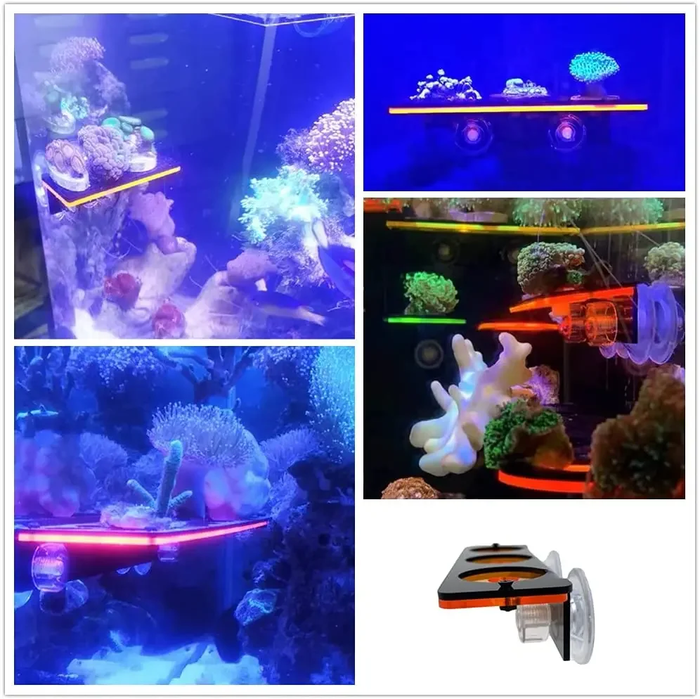 Fluorescence Coral Frag Rack Bracket, Acrylic Aquarium Reef with Plugs Holder, Suction Cup Mount Tool, Water Plant Stand