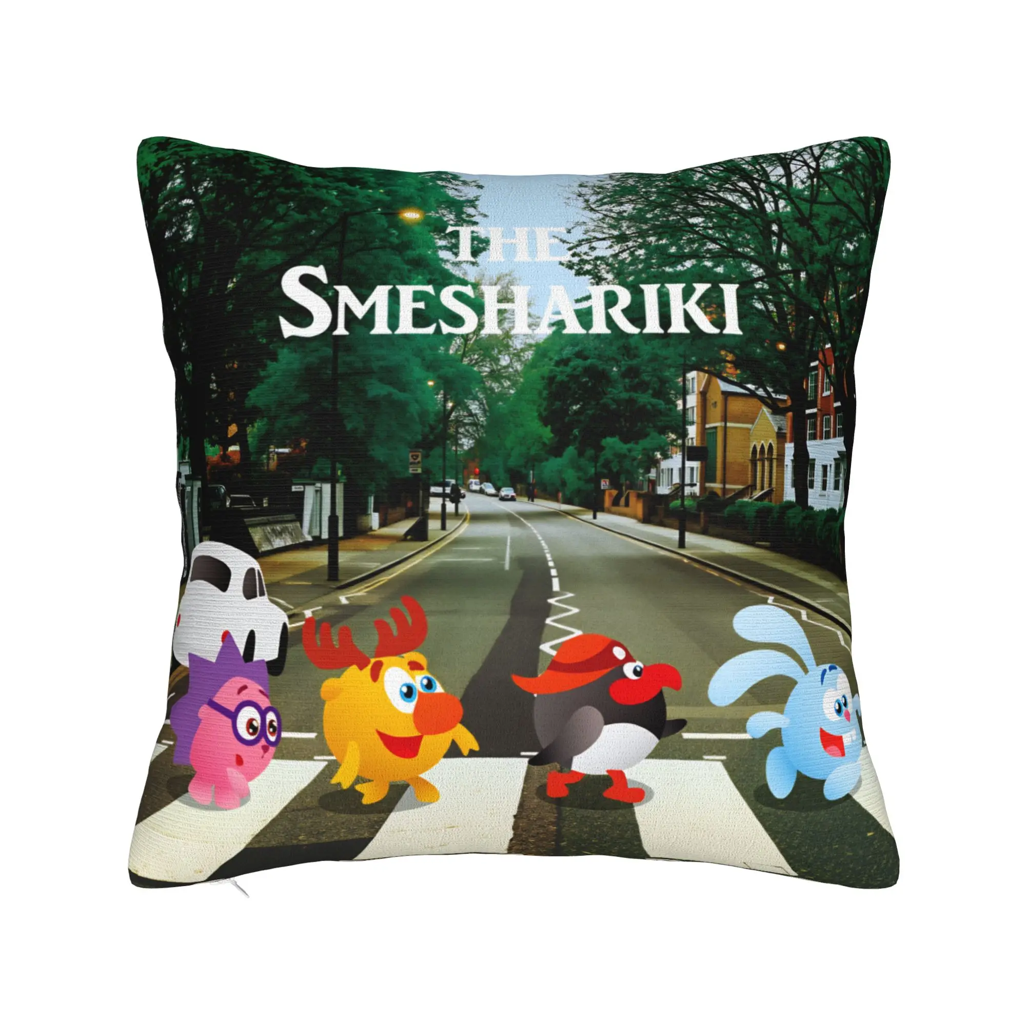 Cartoon S-Smeshariki Pillow Case  Cute Funny Pillow Cover Custom Pillowcases For Sofa Couch Bed Living Room