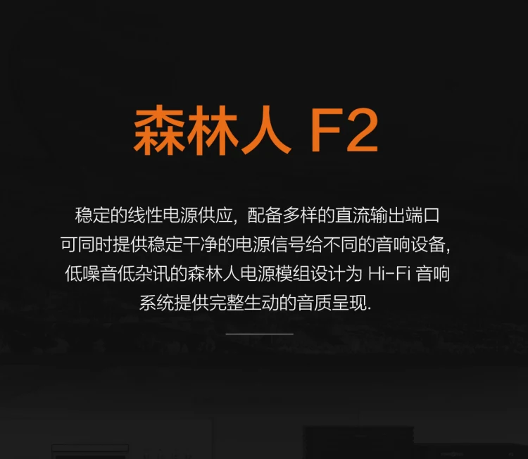 Silent Angel F2 Digital Music Player DAC Linear Power Supply Audio Power Supply 12V3A