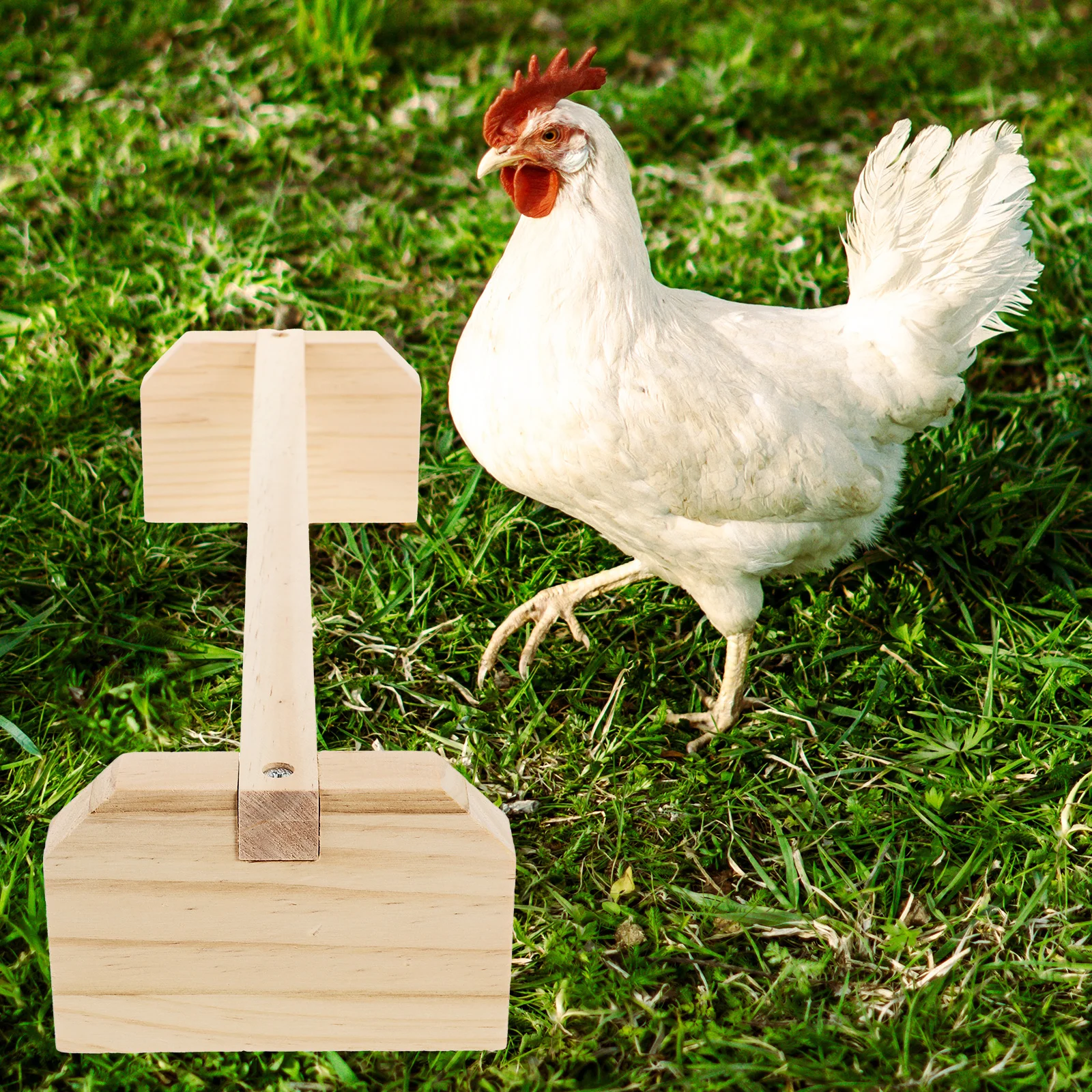 

2Pcs Bird Stand Wood Perch for Parrot Chicken Chick Rooster Conure Lovebird Cage Accessory Training Exercise Station