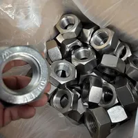 Hexagon Hex Nuts M1 M1.2 M1.4 M1.6 M2 M2.5 M3 M3.5 M4 M5 M6 M7 M8 M9 M10 M12 M14 M16 M18 M20 Hex Nut Stainless Steel Metric