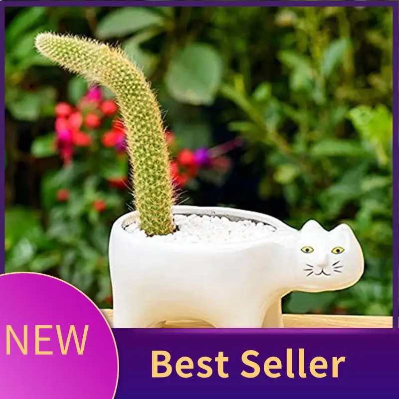 

ABLU-суккулентные горшки для растений из 2-цветных кошек, декоративный цветочный горшок с дренажем, для дома