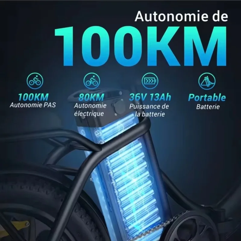 BR Portable 250W Folding Electric Bicycle 20