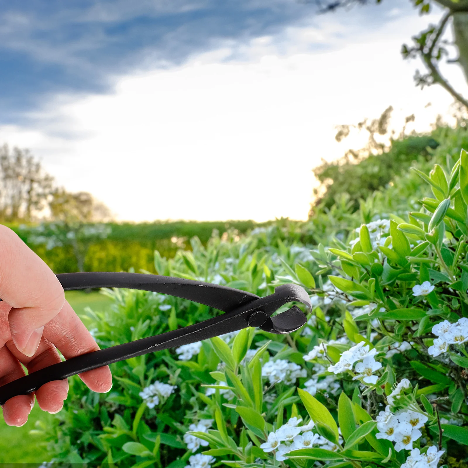 

Carbon Steel Pruning Blade For Aluminum Wires Bonsai Garden Tool Electric Wire Cable Cutter Dismantling Pliers
