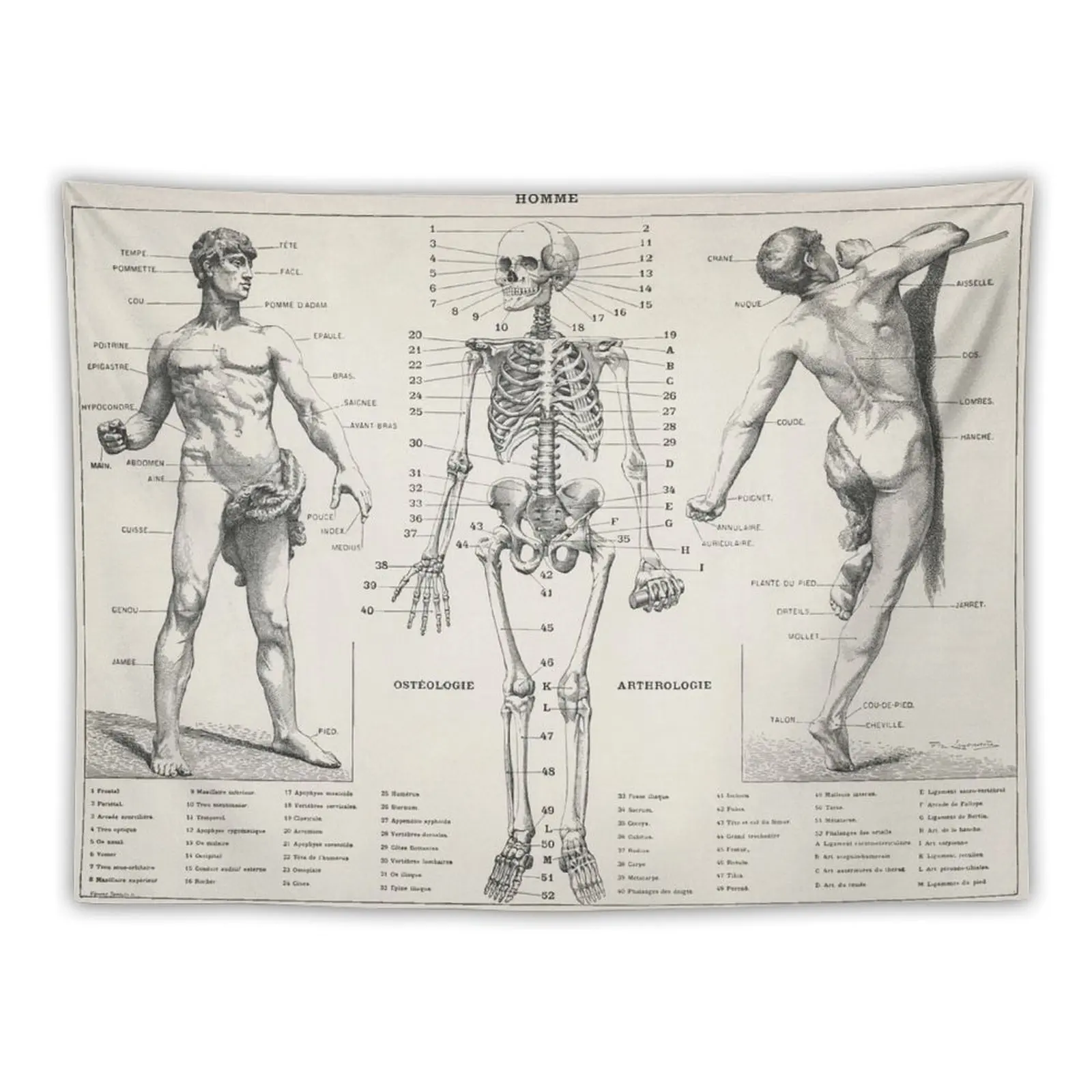 

Vintage Anatomy 1900s Tapestry House Decorations Carpet On The Wall Home And Comfort Decor Room Decor Cute Tapestry