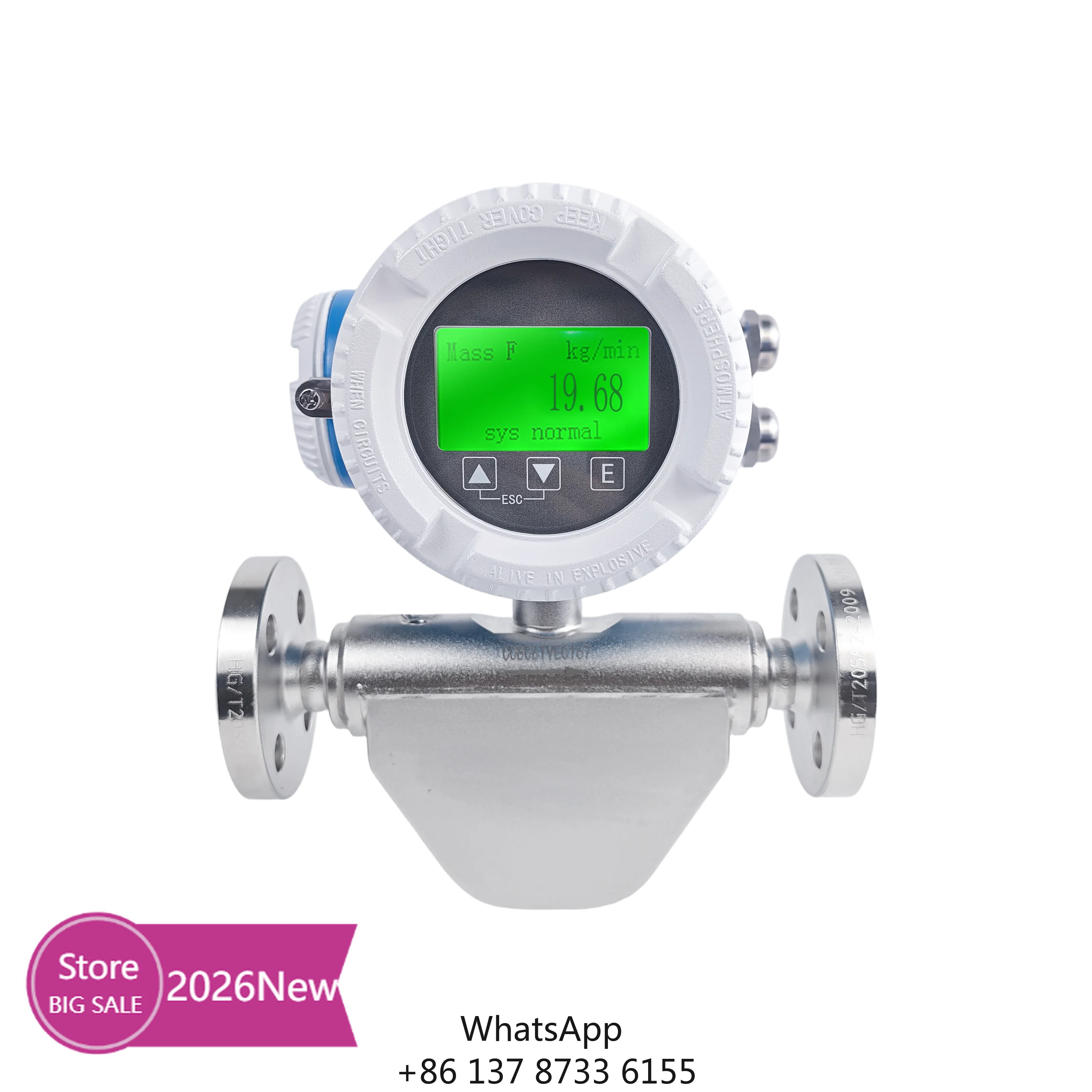 Digital Coriolis Mass Flow Meter For Chemical Dosing System With RS485 Modbus Output
