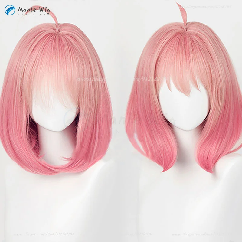 Perruque de Cosplay de Dessin Animé éventuelles Y × FAMILY, Cheveux Synthétiques Courts, Rouges et Bruns de 30cm avec Bonnet