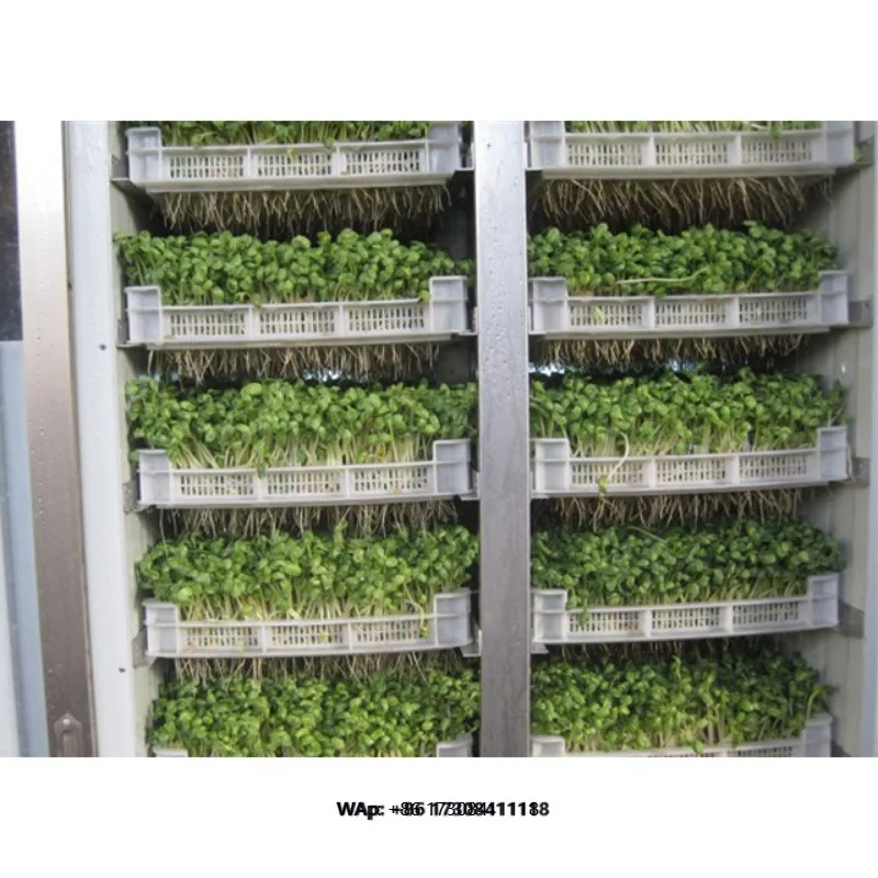Hot Sale Fodder Sprouting Machines Hydroponic Fodder System Hydroponic Seeds Sprouting Equipment for Feed Processing Machines