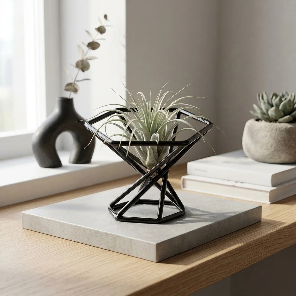 Hexagonal Metal Stand for Air Plants 6x4cm Black Geometric For Home Garden Decor Indoor Outdoor Plant Display Holder