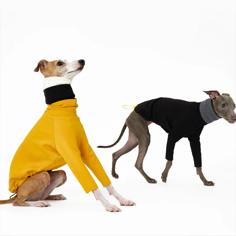 

Multicolored Detachable 2-legged Clothes for Italy Greyhound Wellington Autumn Thick Warm Fashion Sweatshirt for Whipbit