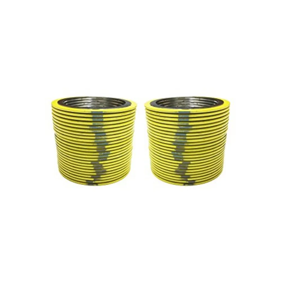 

Прокладка спирально-навитая Sterling Seal SSI90001250304GR300X48 с гибким наполнителем для труб 1-1/4 дюйма, класс давления 300 # 1.875" ID 304