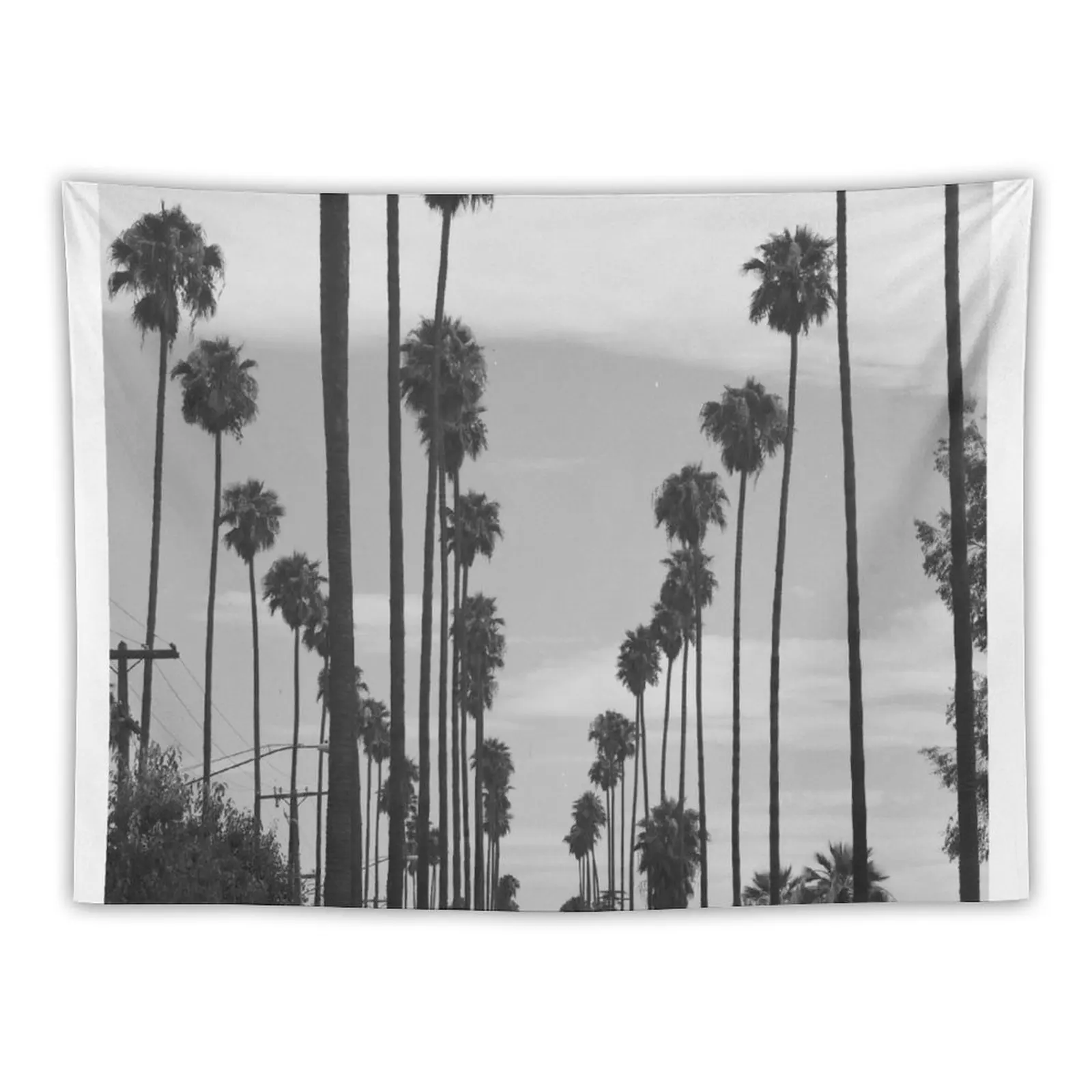 

New Vintage Black & White California Palm Trees Photo Tapestry Things To Decorate The Room Wall Hanging Wallpapers Home Decor