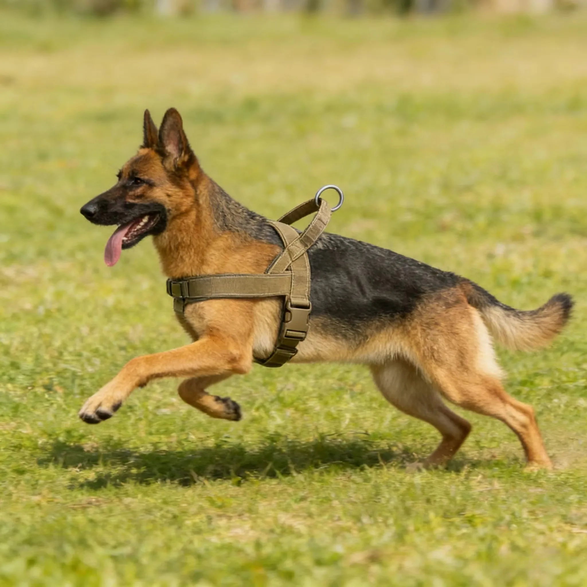 Big Dog Harness Accessories Dogs Pets Pet Products Tactical Vest Collar for Cats Chest Small Leash Supplies Things Puppy Collars