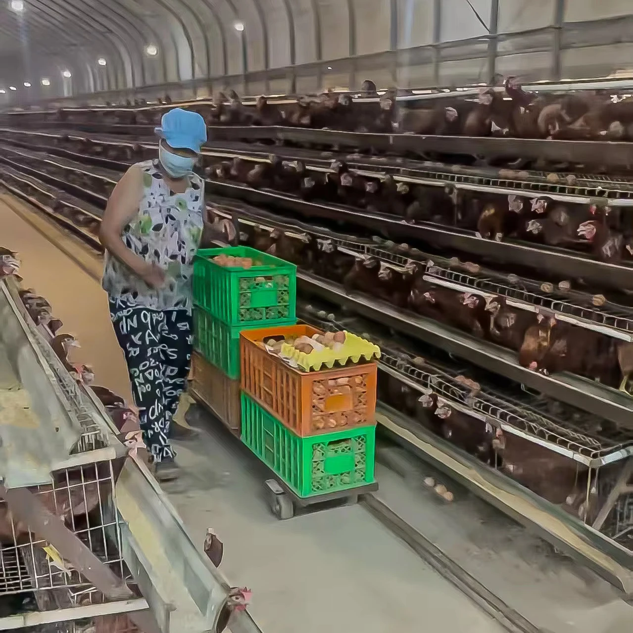 3 4 Tiers a Type Layer Chicken Cage Galvanized 96 128 160 120  Birds Battery Cage for  Chickens Egg Layer Farm Equipment